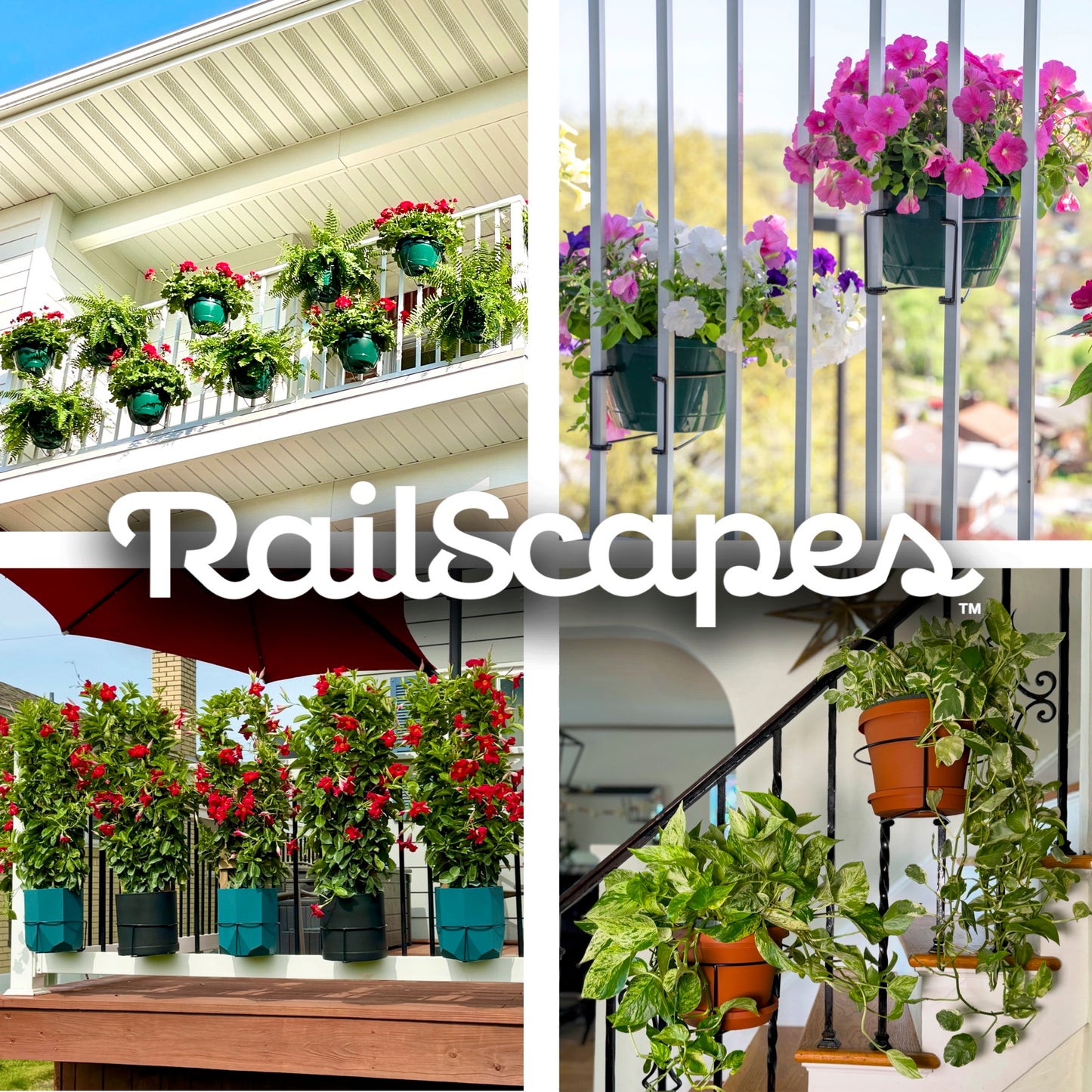RailScapes Pflanzenklammer - Schmale Stangen