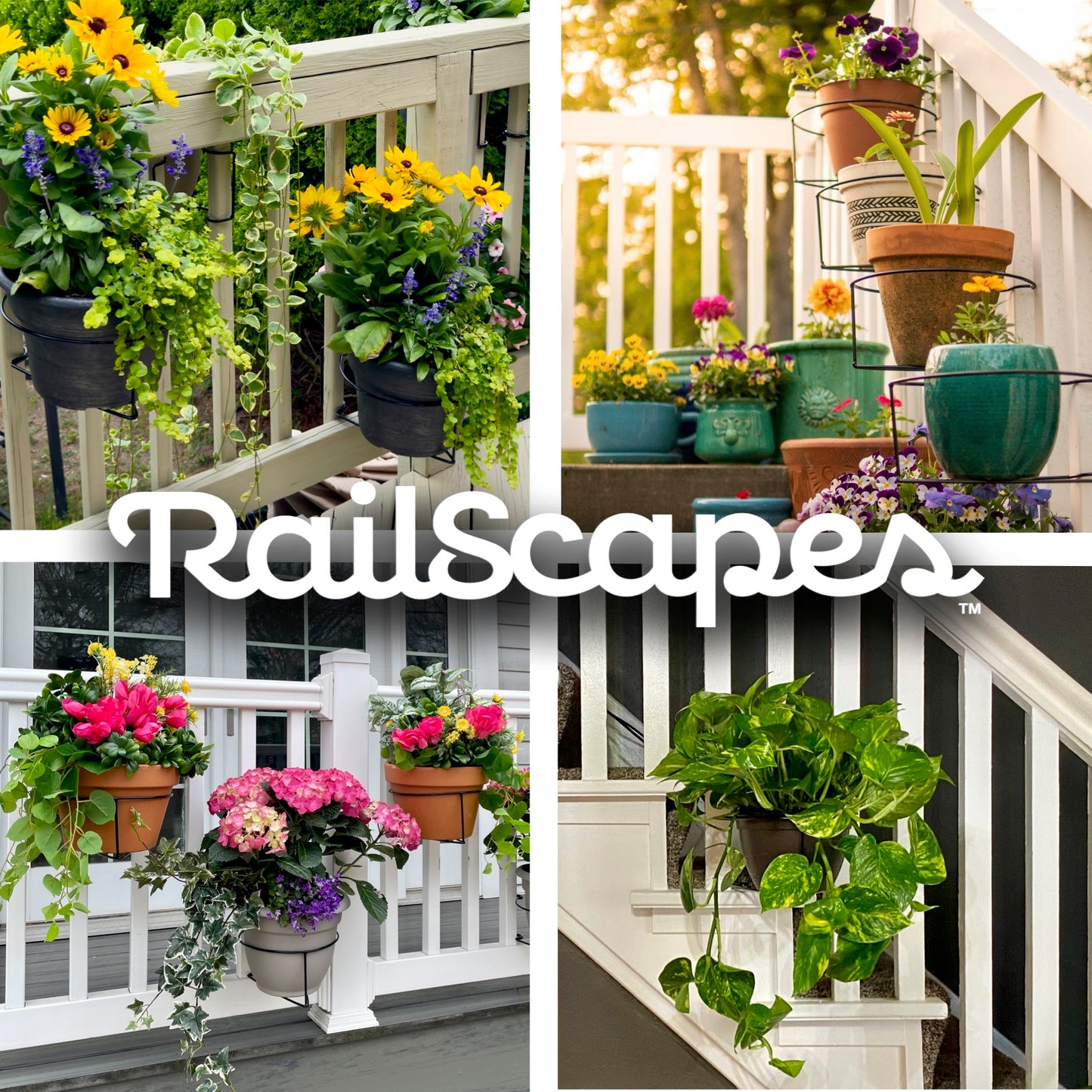 Confezione da 3 pezzi - Clip per piante RailScapes - Barre larghe