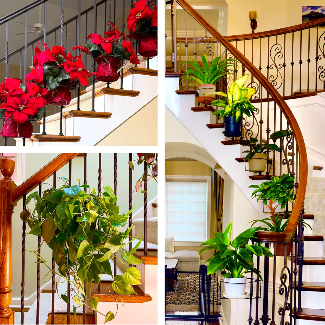 Plant Removable Railing RailScapes Plant Clip: Vertical gardening with railing plant holders ...